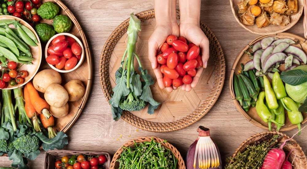Características de los Mejores Productos Nutritivos